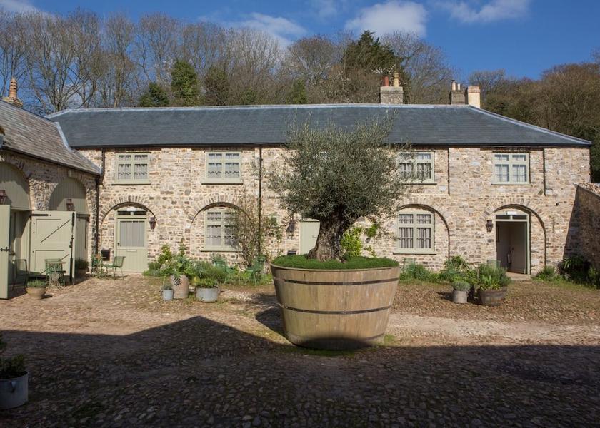 England Honiton Property Grounds