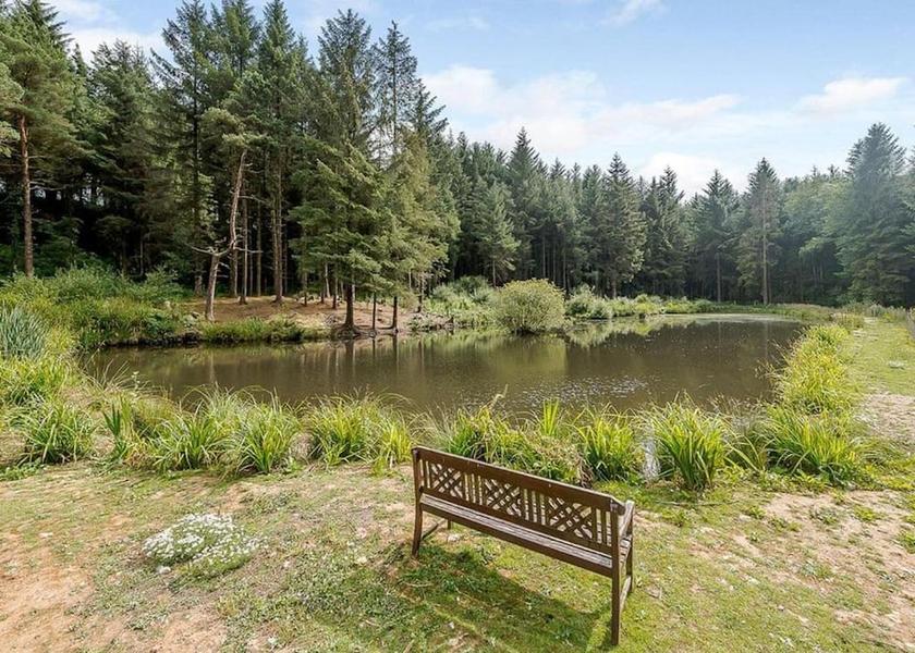 England Honiton Property Grounds