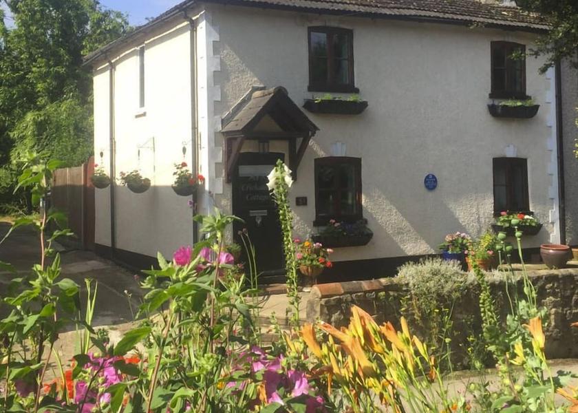 England West Malling Primary image