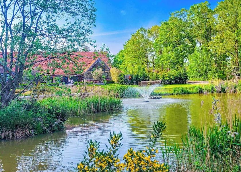 England King's Lynn Primary image