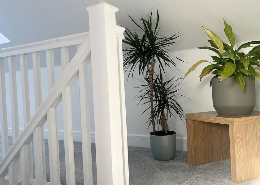 England Penzance Room