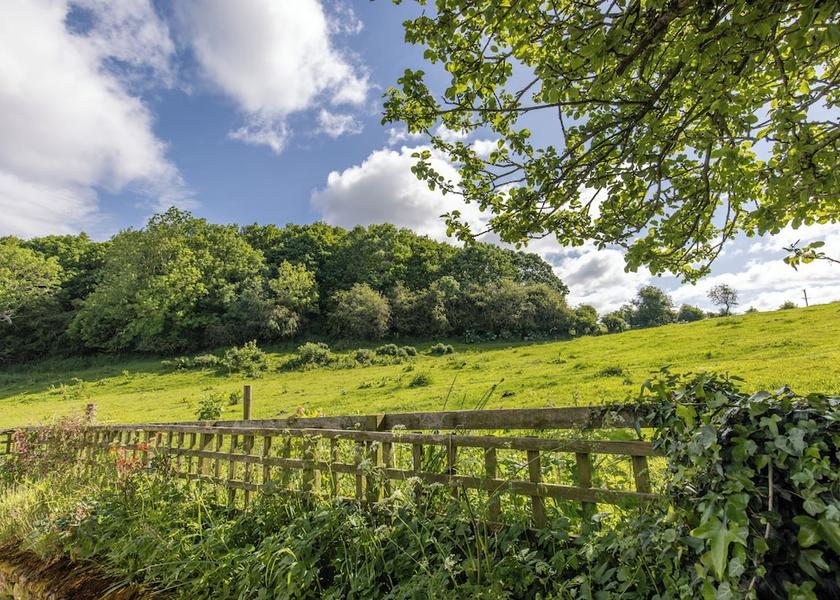 England Belford Garden View