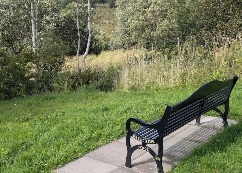 Scotland Newcastleton Property Grounds