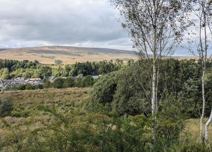 Scotland Newcastleton Amenity