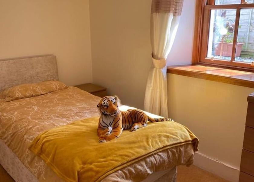 Scotland Buckie Room