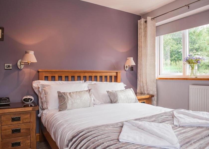 Wales Pontypool Deluxe Double Room with Shower