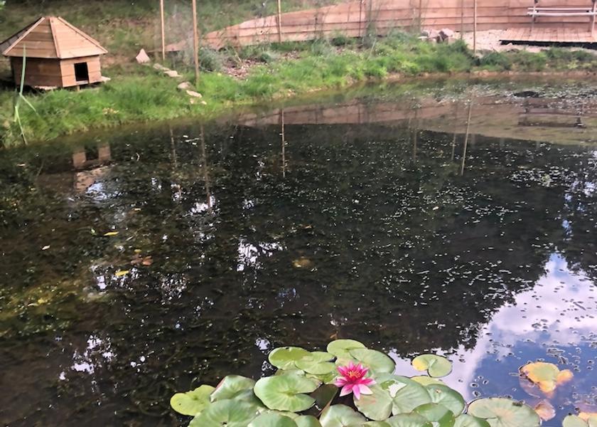 England Farnham Room