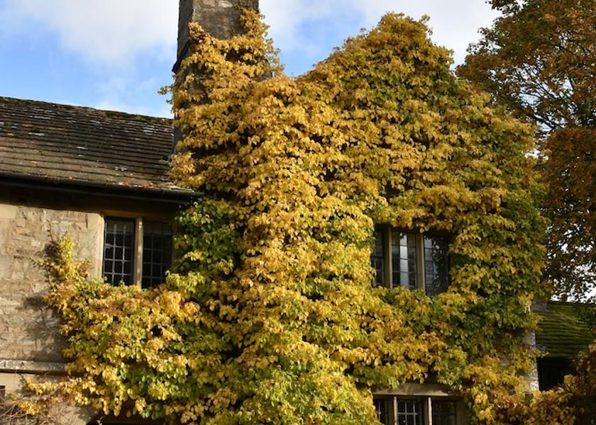 England Hawes Entrance