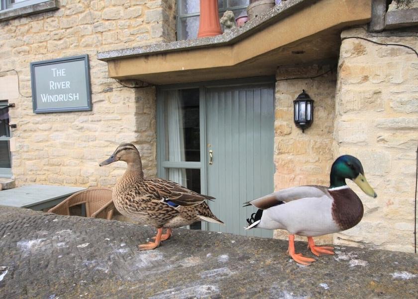 England Lechlade Exterior Detail