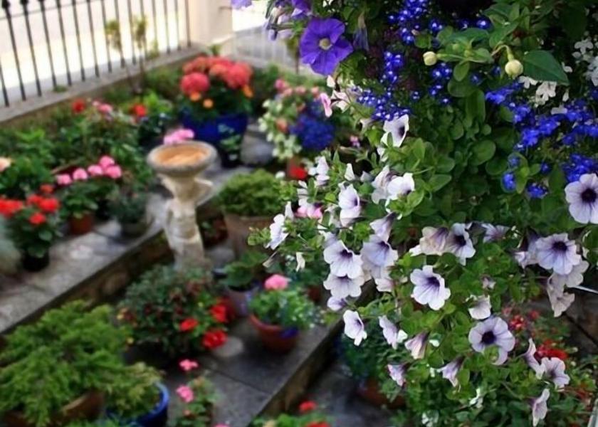 England Weston-super-Mare Exterior Detail