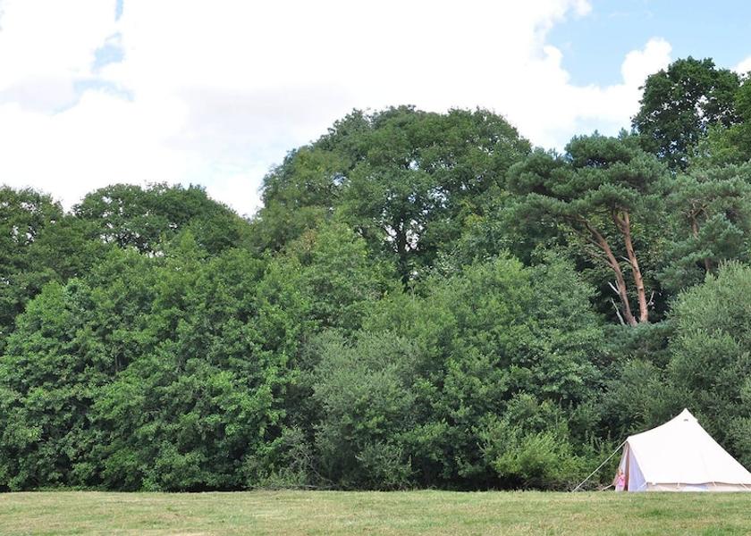 England Shaftesbury Property Grounds