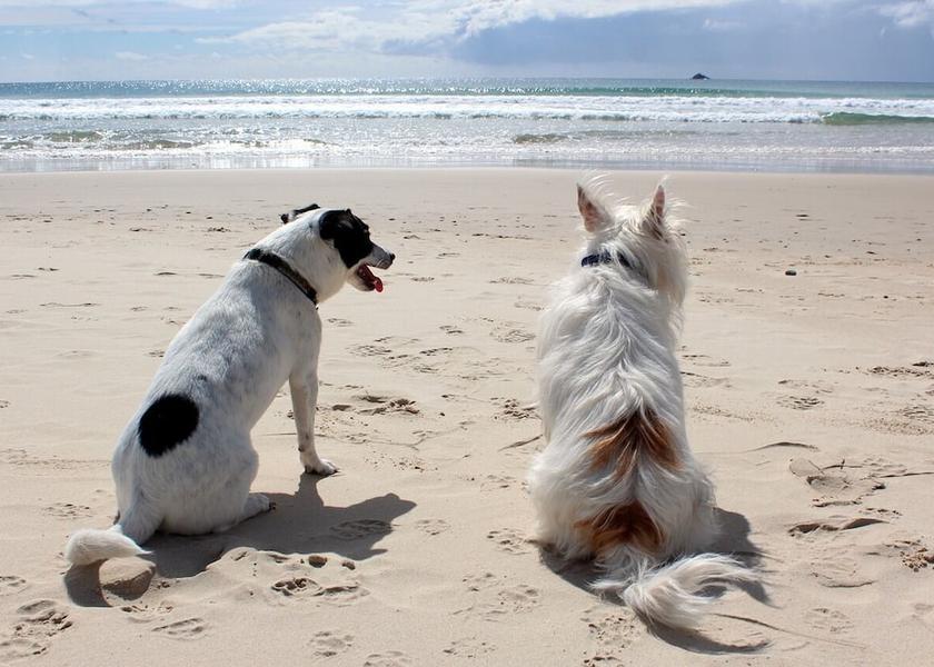 Wales Prestatyn Beach