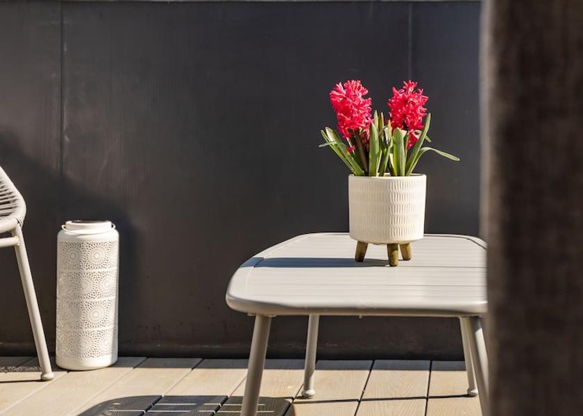 Scotland Anstruther Terrace