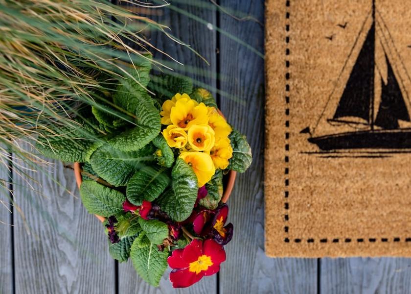 Scotland Anstruther Exterior Detail