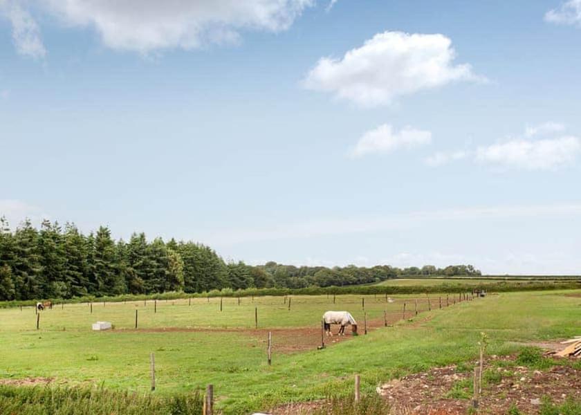 England Honiton Property Grounds