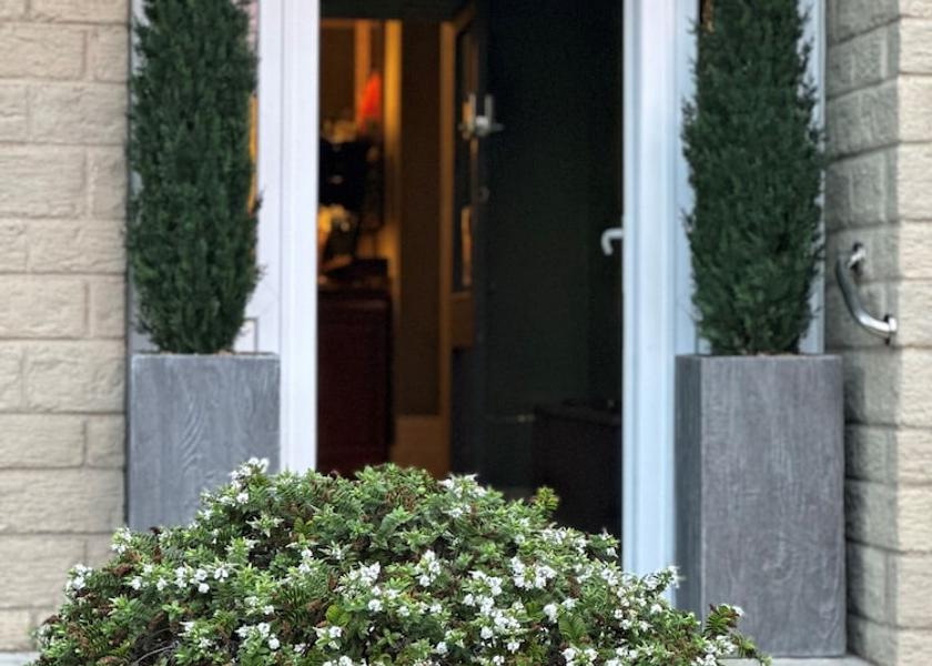 England Shanklin Entrance