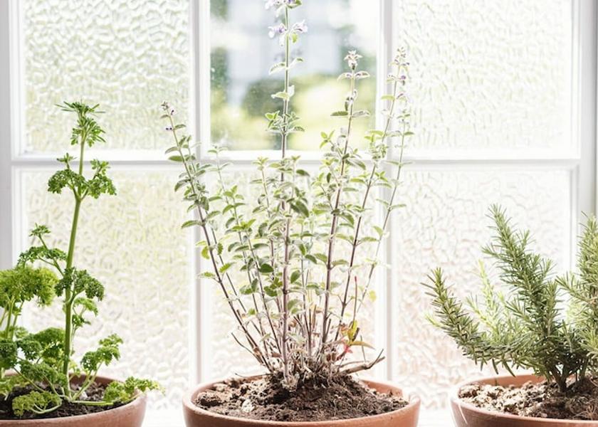 Northern Ireland Ballycastle Interior Entrance