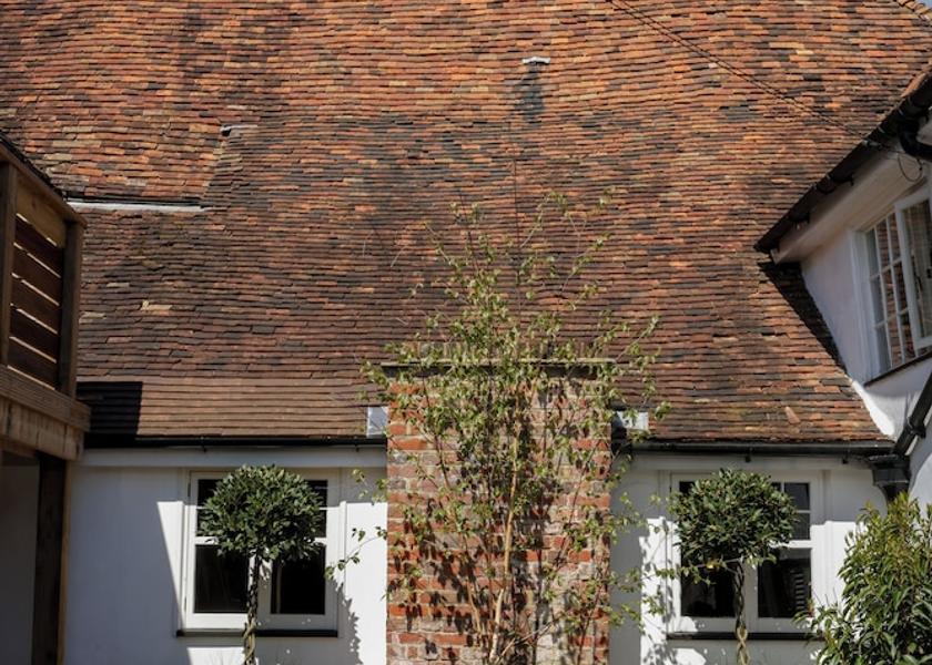 England Maidstone Garden