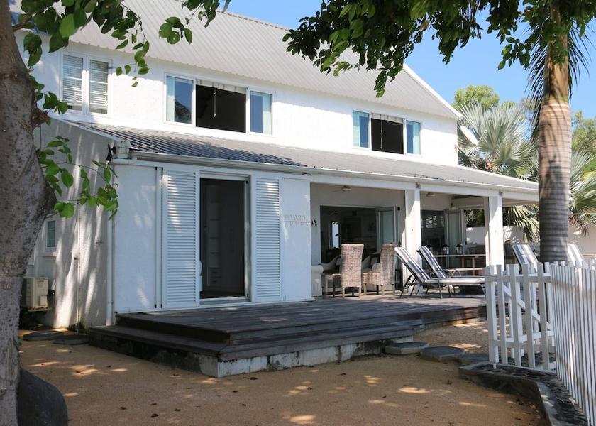  Tamarin Primary image