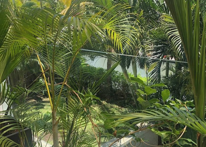  Black River Property Grounds