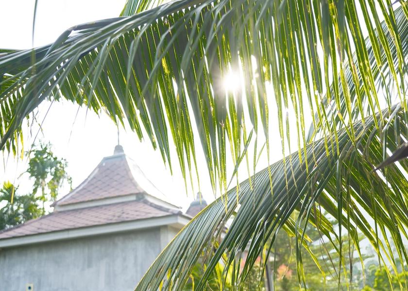 Phuket Province Sa Khu Garden