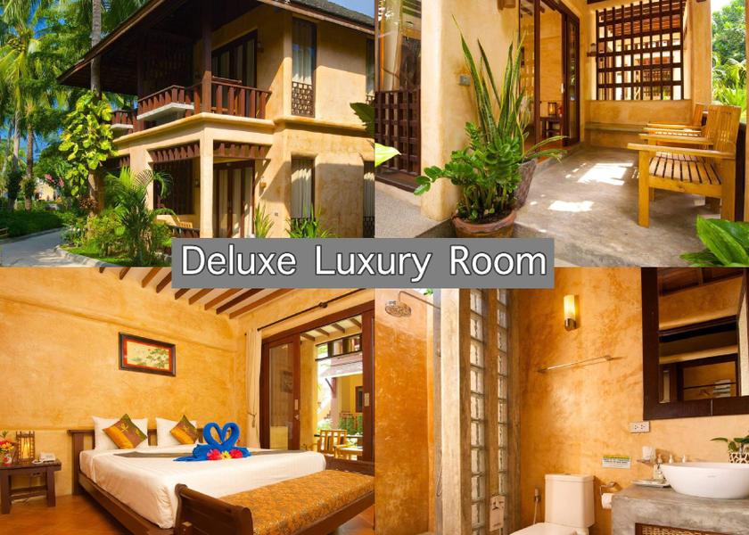 Surat Thani Province Koh Tao Guestroom