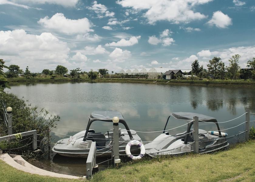 Chiang Rai Province mae lao Living Area