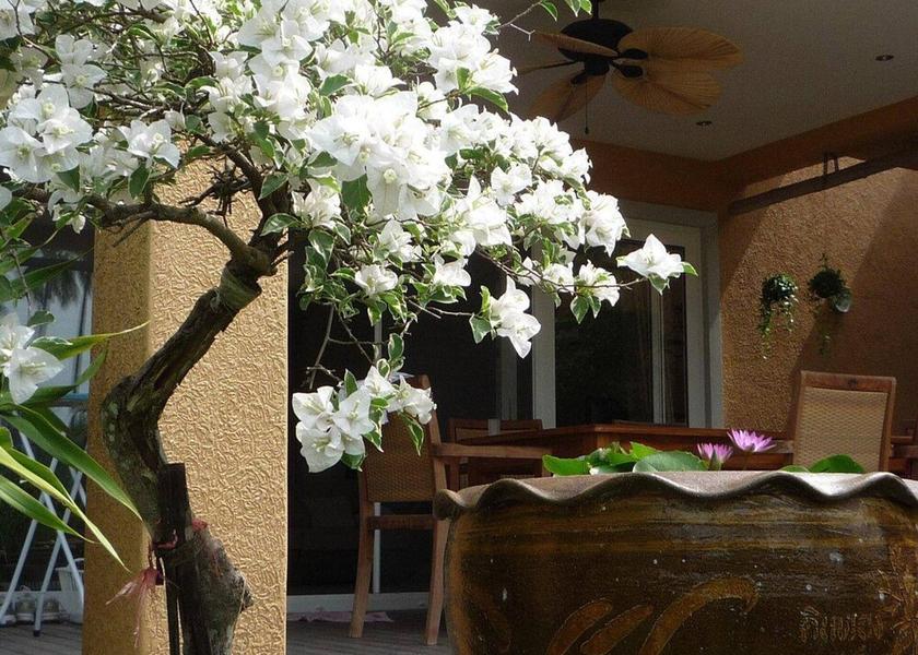 Trat Province Ko Chang Outdoor Dining