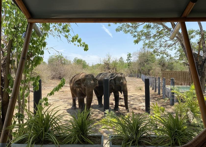 Prachuap Khiri Khan Tha Yang View from Property