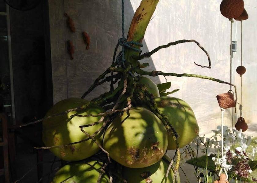 Chiang Mai Province Saraphi Kitchen