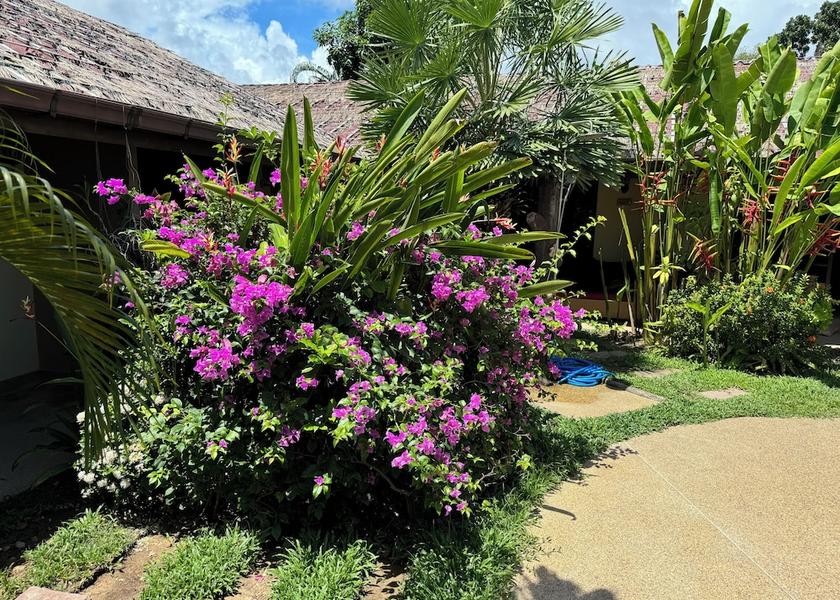 Phuket Kamala Exterior Detail