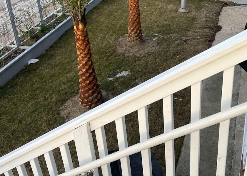 Louisiana New Orleans Primary image