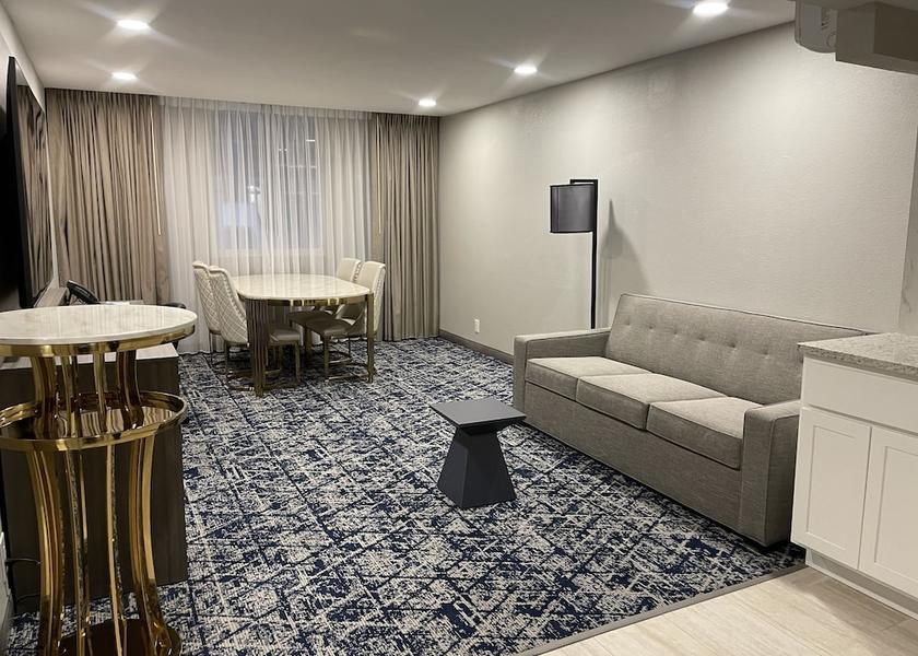 Texas Irving Living area