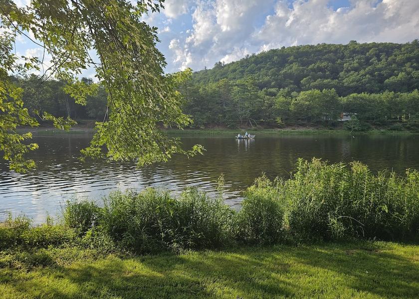 Virginia Damascus Water-based activities