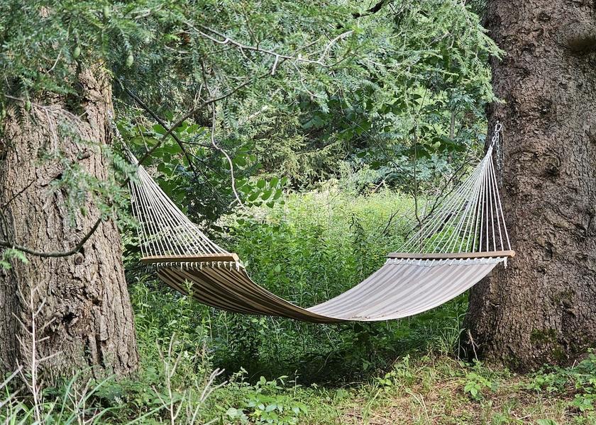 Virginia Damascus Garden