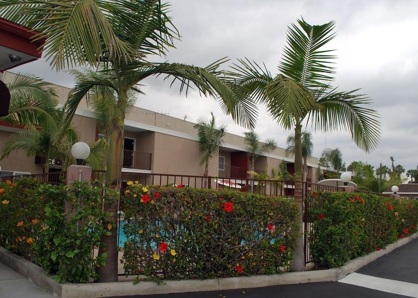 California Anaheim Pool