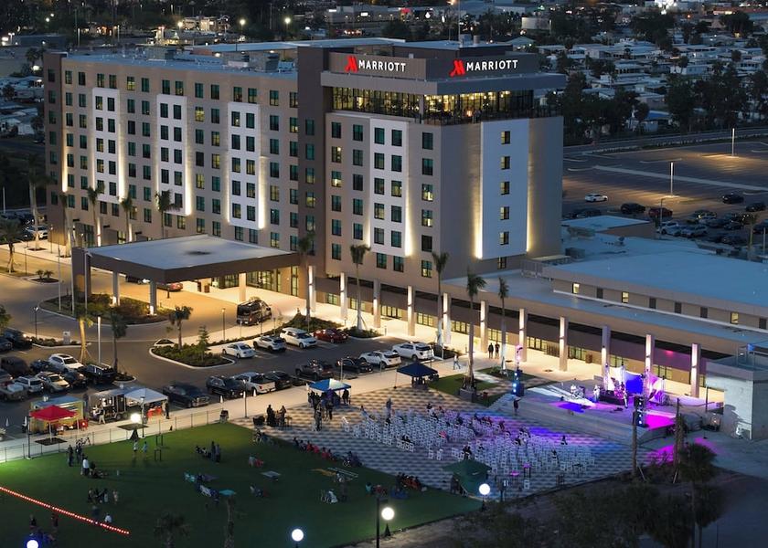 Georgia Palmetto View from Property