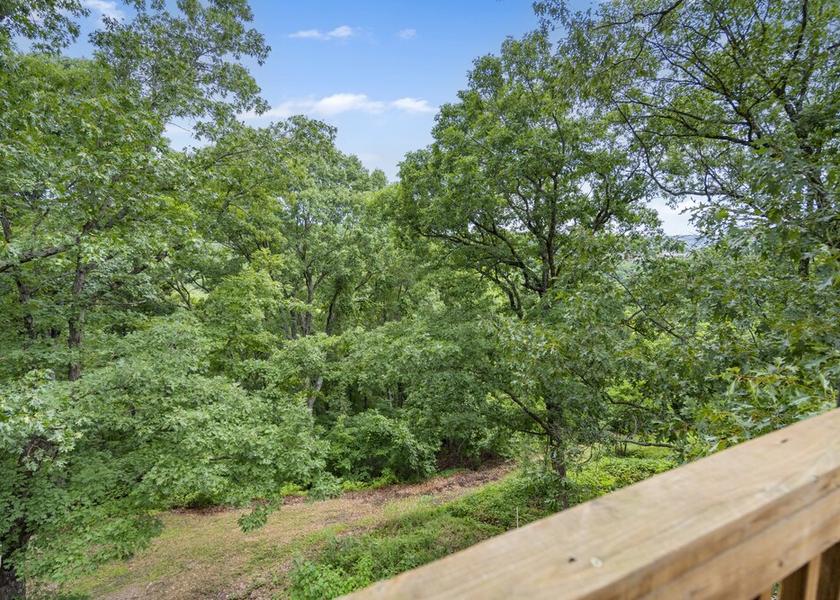 Missouri Branson West View from Property