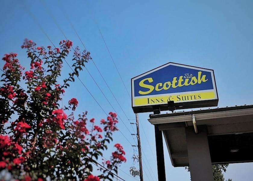 Texas Shenandoah Primary image