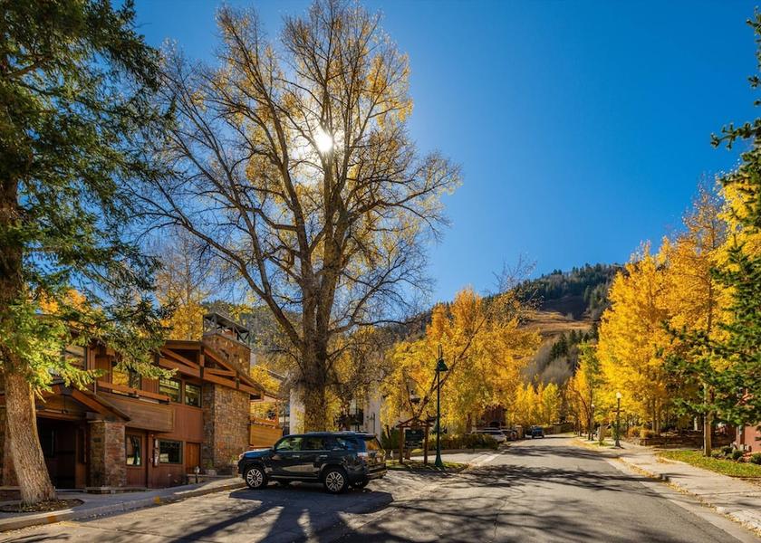 Colorado Aspen Parking