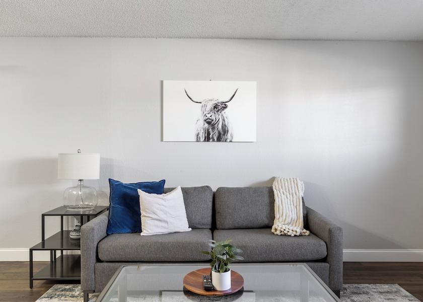 Texas Grand Prairie Living Area
