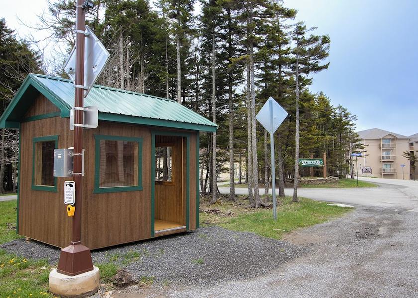 West Virginia Snowshoe City Shuttle