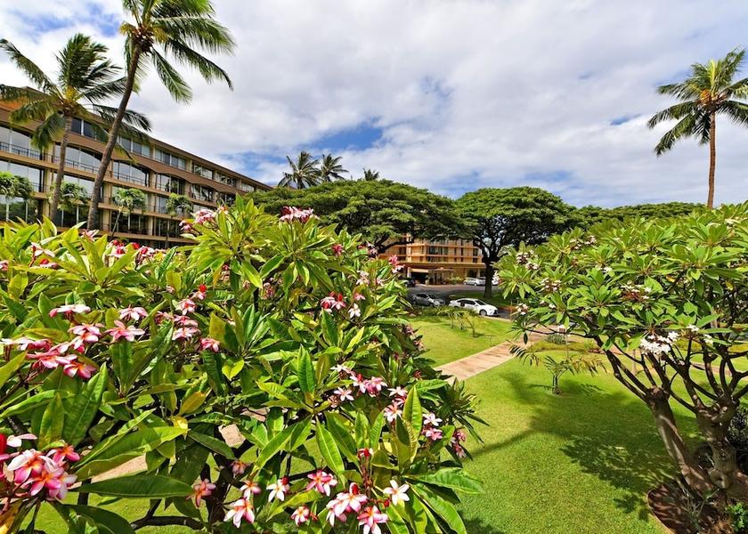 Hawaii Lahaina Property Grounds