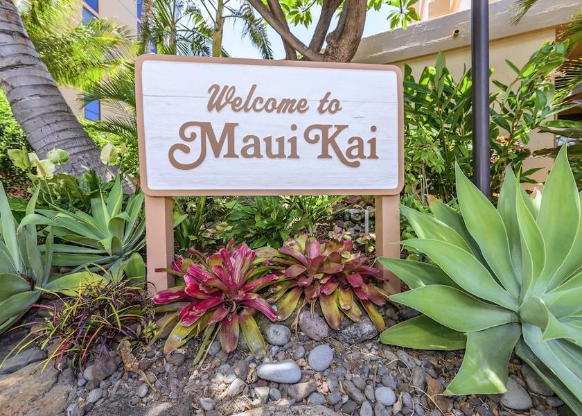 Hawaii Lahaina Property Grounds