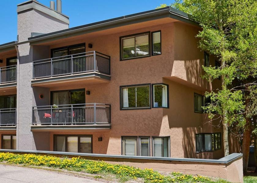 Colorado Aspen Primary image