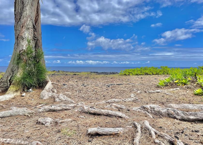 Hawaii Keaau Beach