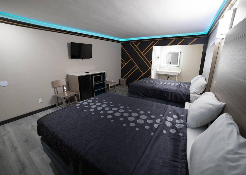 California Bellflower Primary image