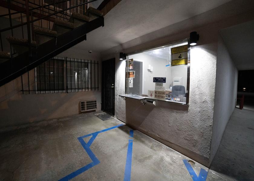 California Bellflower Reception