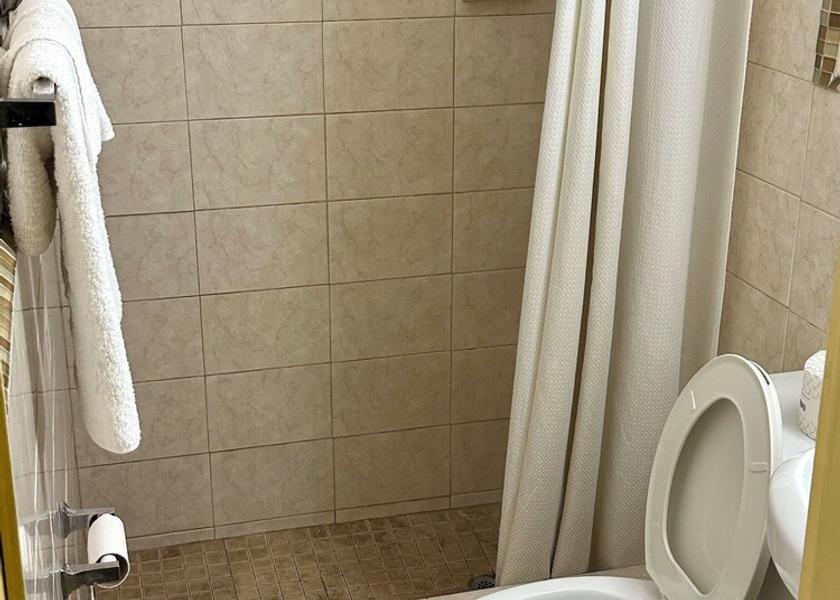 Florida Tampa Bathroom