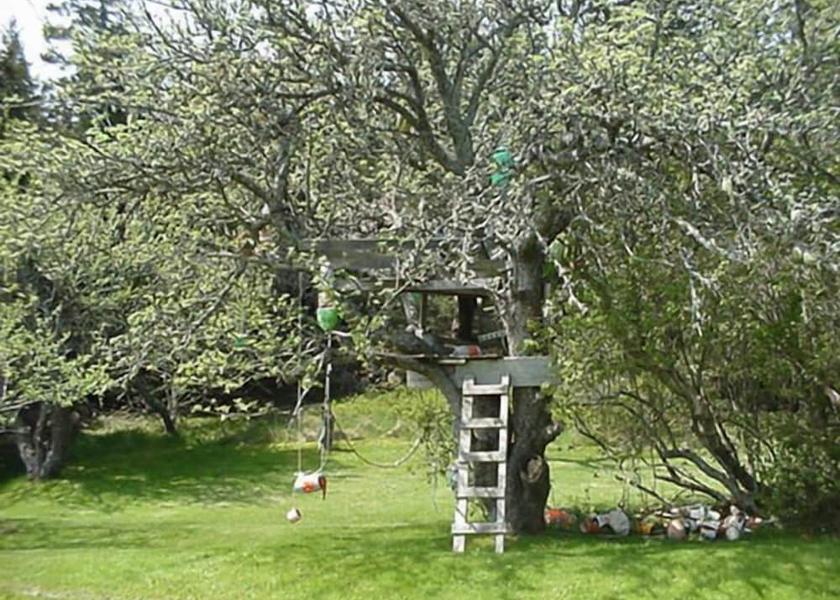 Connecticut Stonington Amenity